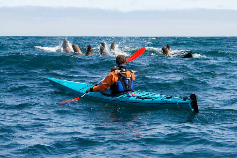 Рыболовная база Амчигача, Камчатский край: фото 5