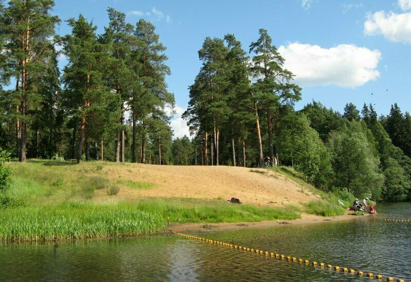 Экстерьер | Сосновый бор, Костромская область