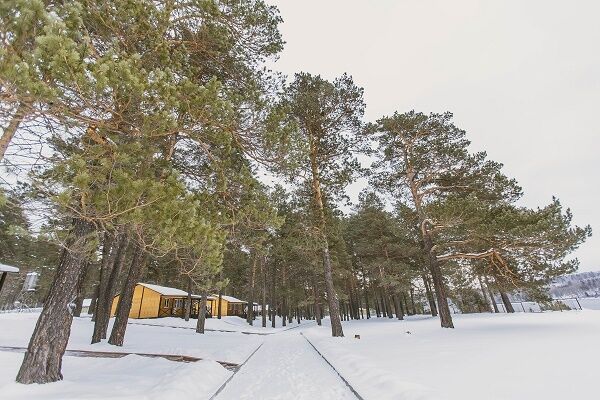 Енисейский Бриз, Красноярский край: фото 4
