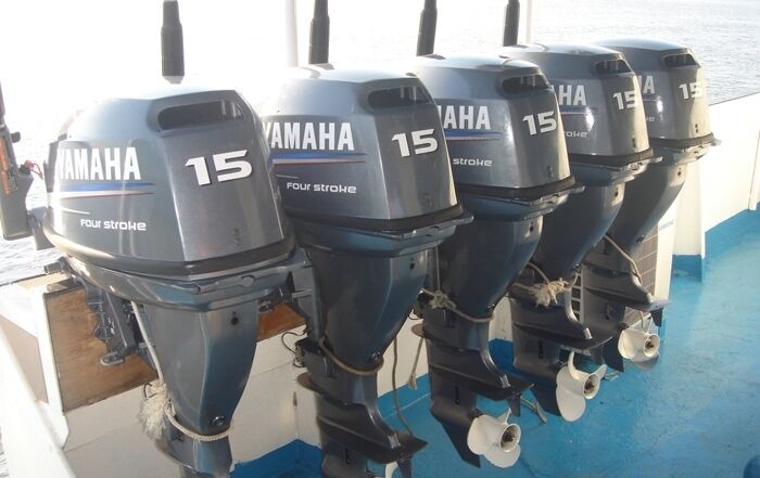 Лодочные подвесные моторы | Теплоход «Русич», Астраханская область