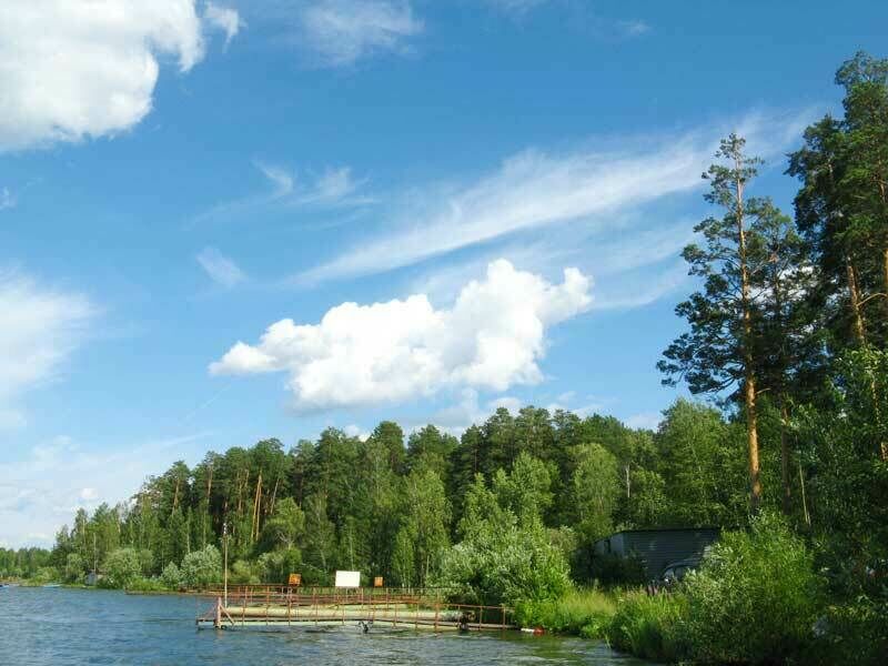 Сосновый бор | Скиф, Псковская область