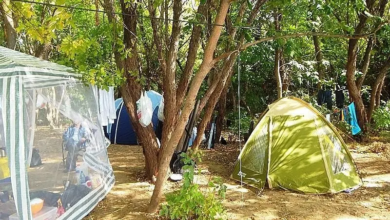 Дома в аренду Кемпинг на фазенде, село Гандурино, Астраханская область