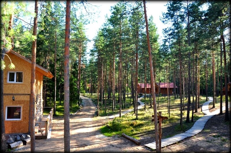 Кургала, Ленинградская область: фото 5