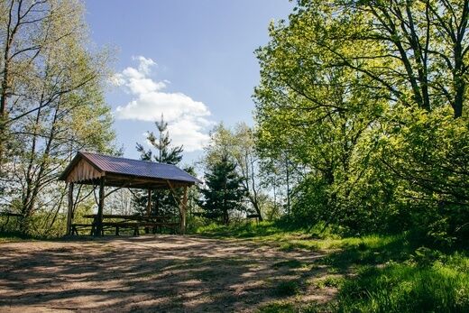 Песчаный берег, Республика Мордовия: фото 2