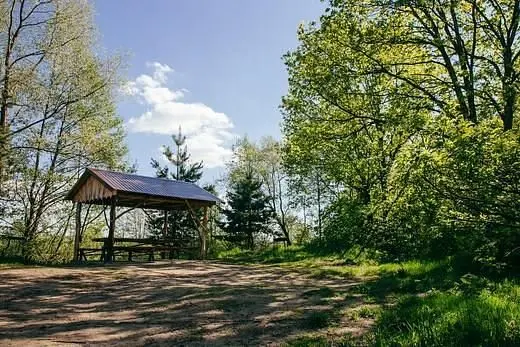 Песчаный берег, Республика Мордовия: фото 2