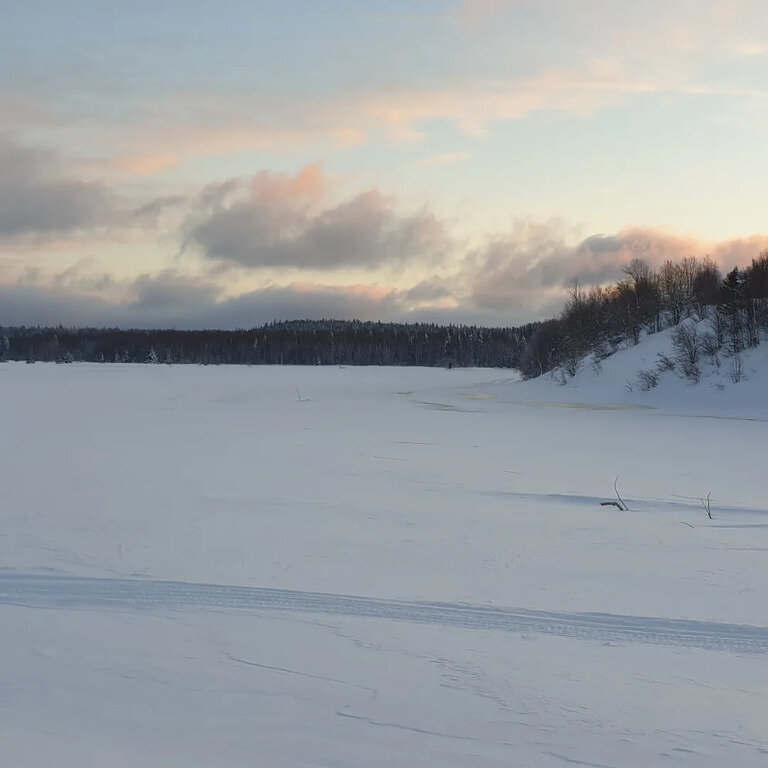 Фото из отзыва от 25.02.2022