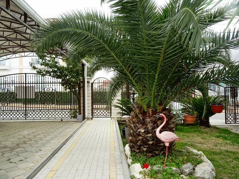 Aerostar Guest House, Краснодарский край: фото 4