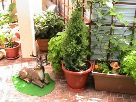 АдлерОК, Краснодарский край: фото 2