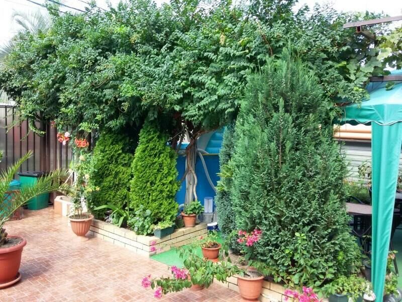 Гостевой дом АдлерОК, Адлер, Краснодарский край