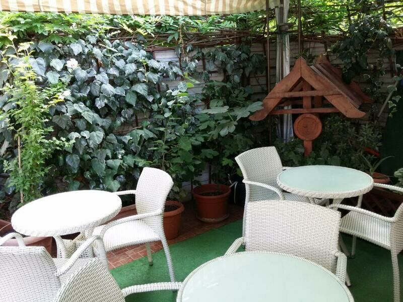 АдлерОК, Краснодарский край: фото 3