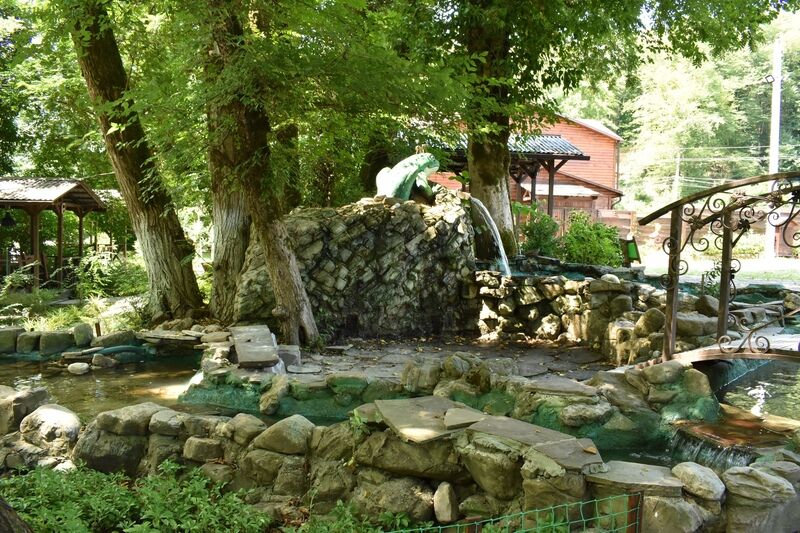 Вотчина, Краснодарский край: фото 4