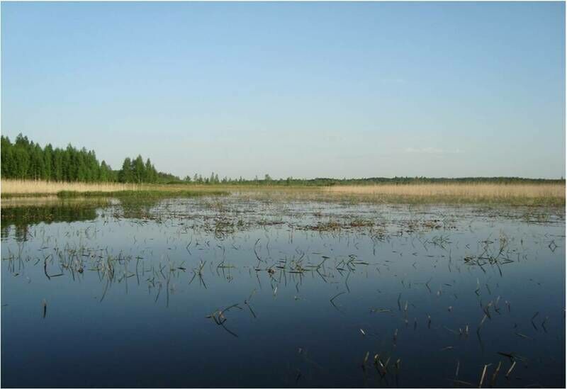 На реке | Дальний кордон, Псковская область