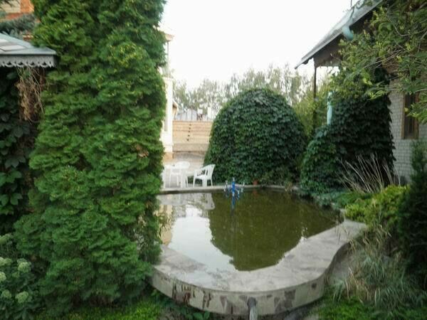 Бассейн во дворе | Альянс, Белгородская область