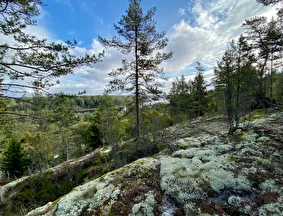 Levata camp, Республика Карелия: фото 4