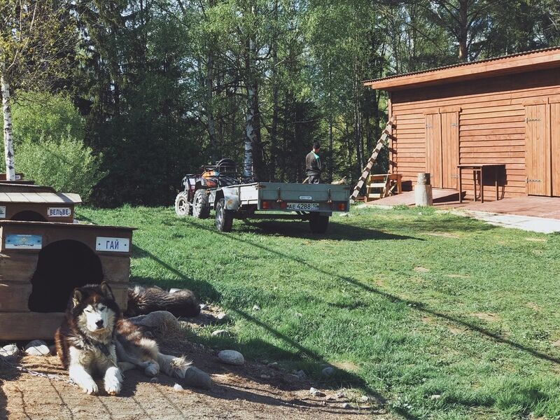 Husky Moa, Республика Карелия: фото 2