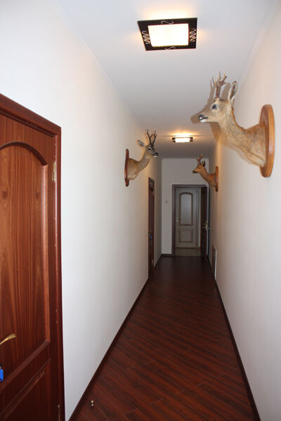 Комнаты охотников | Спасское подворье, Смоленская область