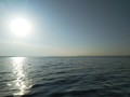 Прогулка на лодке по Каме — Дома в аренду «Marlin-KZN», Лаишевский