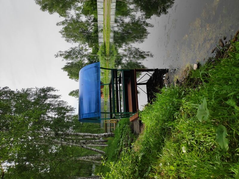 Беседка на воде