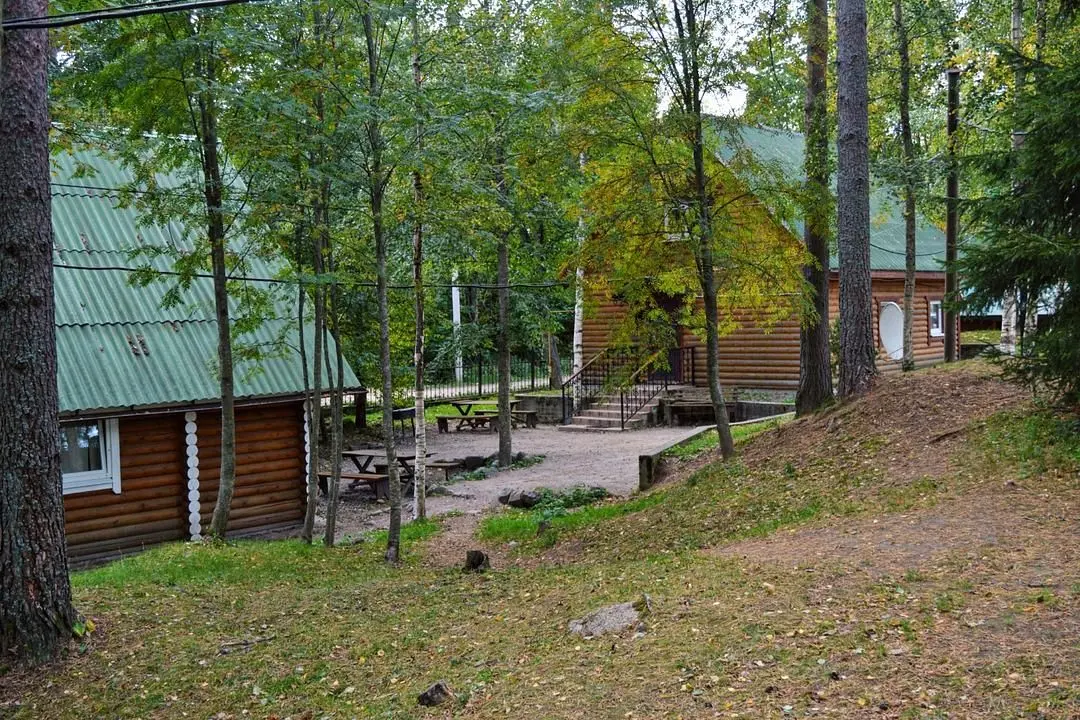 Edelweiss-cottage, Ленинградская область: фото 5