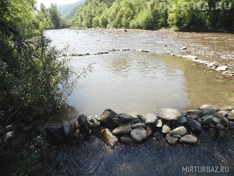 Запруда на речке | Речка Каменка, Алтайский край