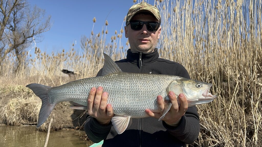 Фото из отзыва от 06.04.2022