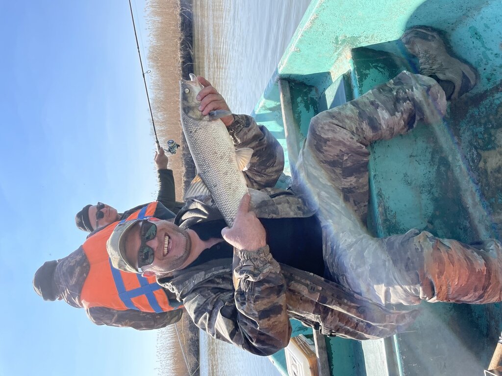 Фото из отзыва от 06.04.2022