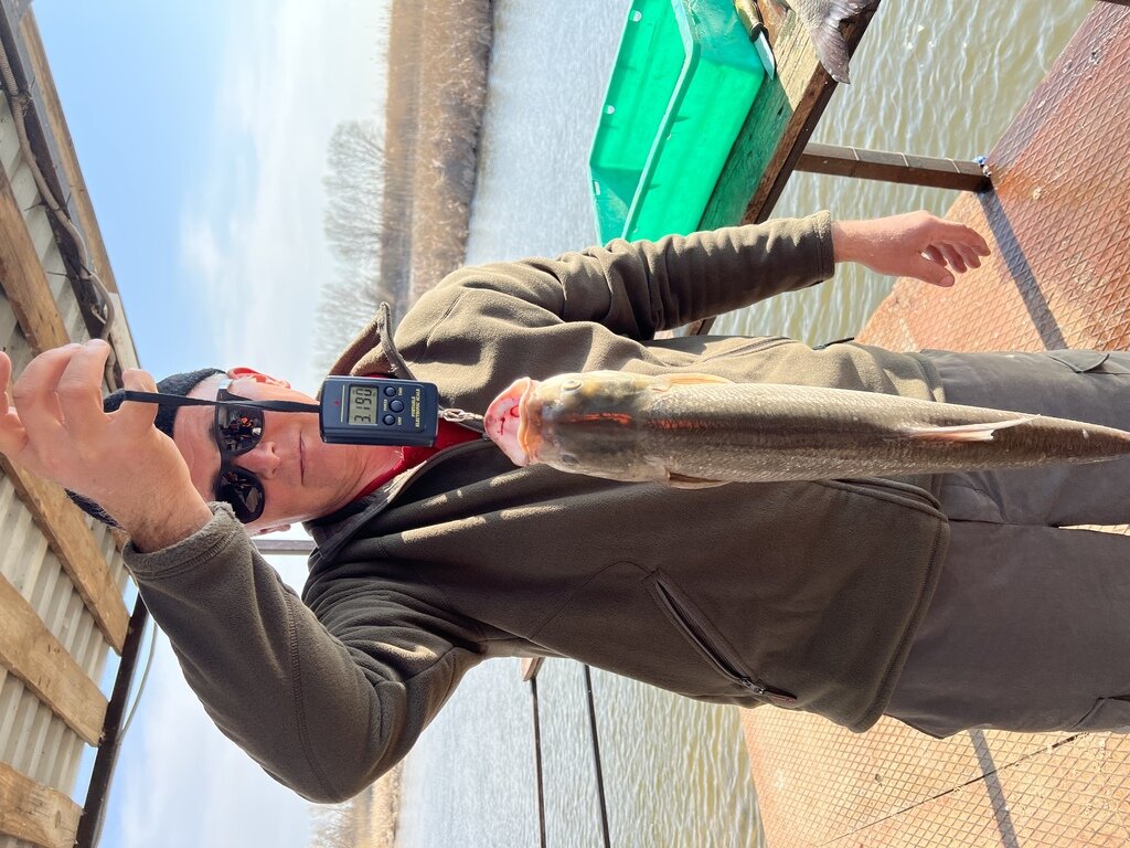 Фото из отзыва от 06.04.2022