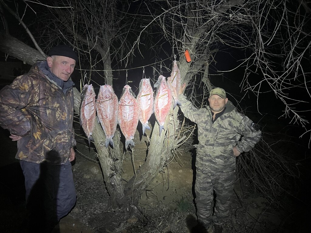 Фото из отзыва от 06.04.2022