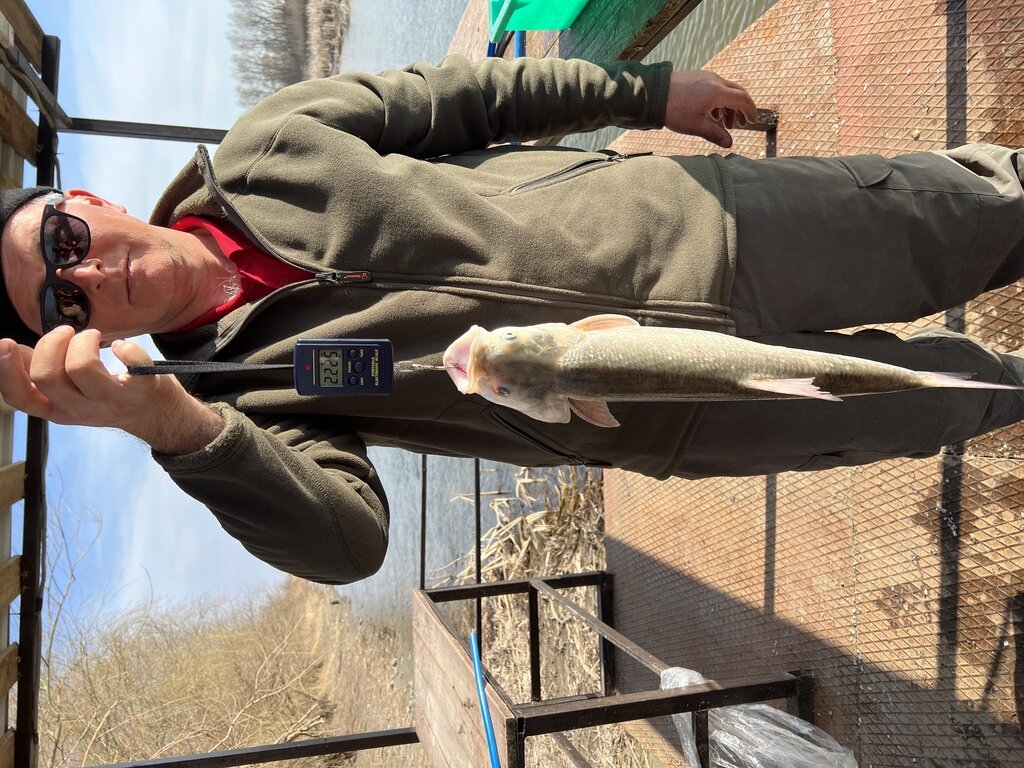 Фото из отзыва от 06.04.2022