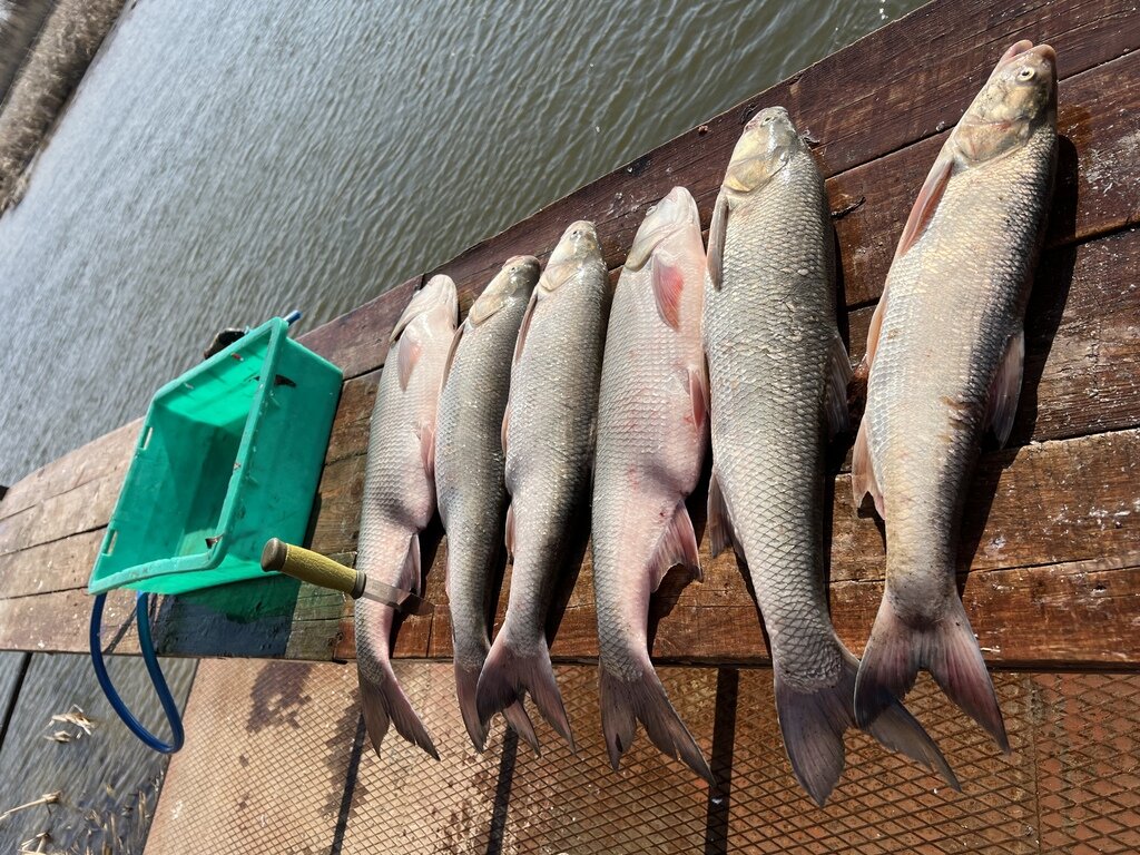 Фото из отзыва от 06.04.2022