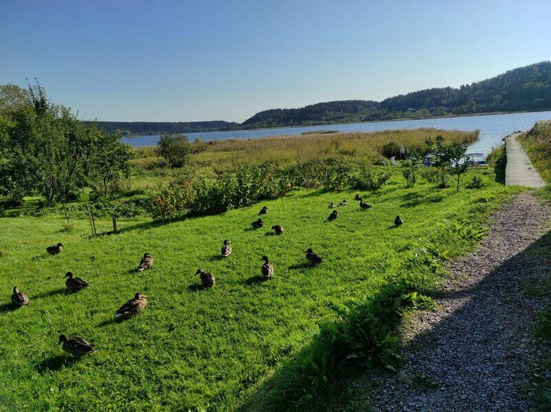 Рантатало, Республика Карелия: фото 5