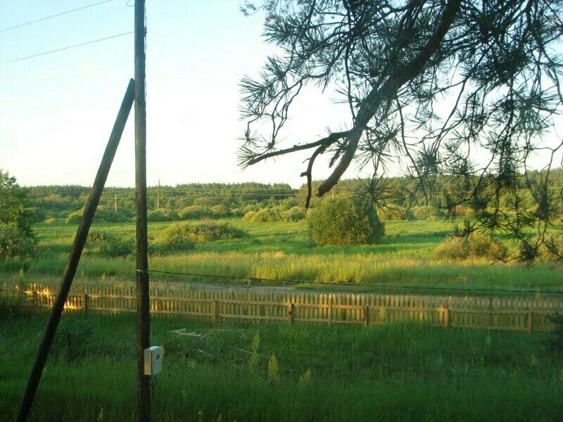 Живописный вид из окна