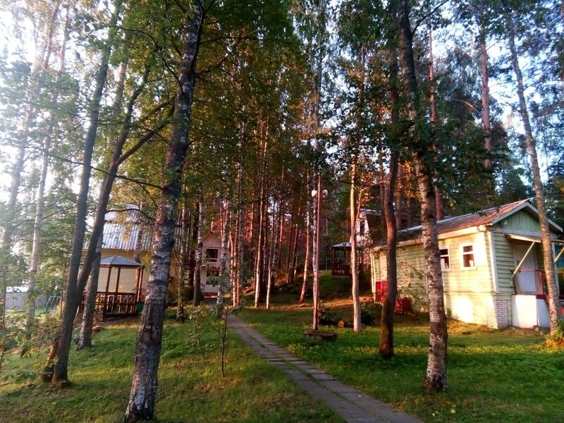 Царевичи, Республика Карелия: фото 3