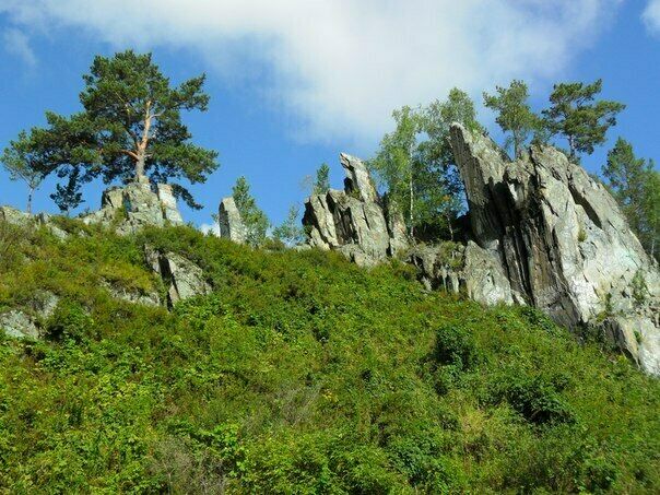 Красота вокруг | Баранчинский перевал, Алтайский край