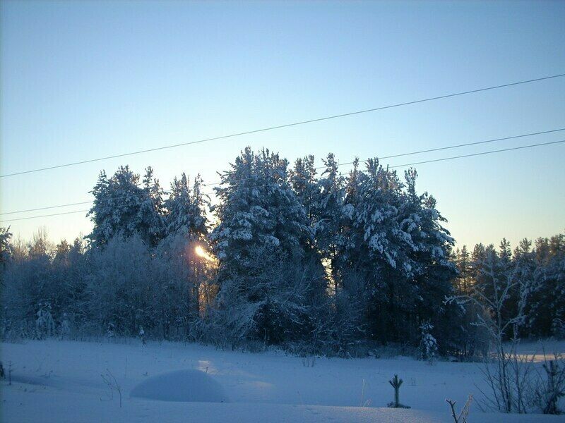 природа | У Степановны, Архангельская область