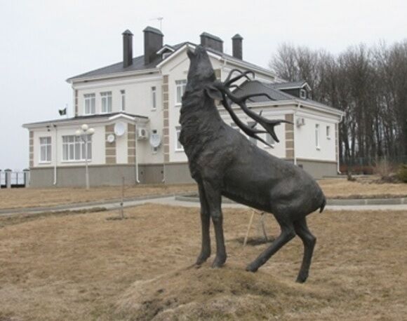 Охотничья база Белоречье, село Алексеевка, Белгородская область