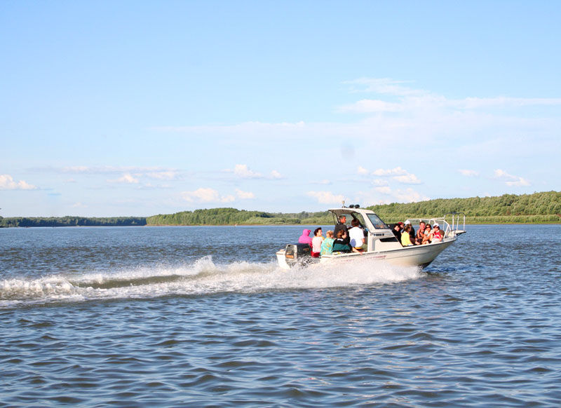 База отдыха «Русский дом» | Русский дом, Алтайский край
