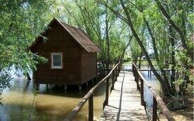 Домик лесной, Рыболовно-охотничья база Тихая радость, Камызякский район