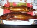 Рыба горячего копчения