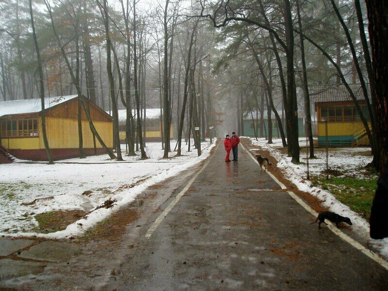 Территория | Спартак, Самарская область