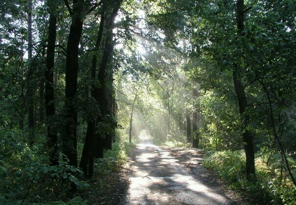 Территория | Спартак, Самарская область