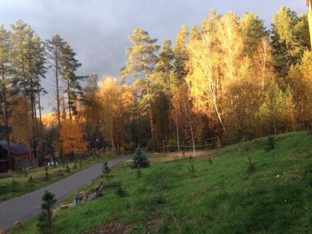 Берлога, Тульская область: фото 3