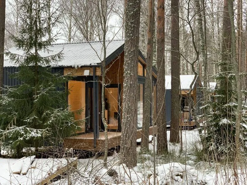 Ромашка, Ленинградская область: фото 5