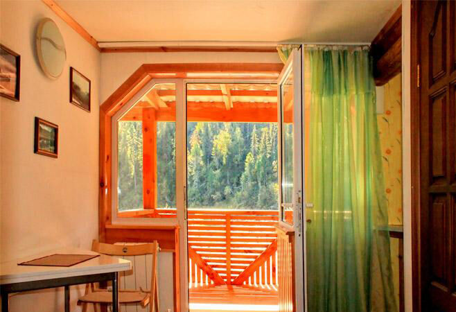 Вид на лес | Юрток, Горный Алтай (Республика Алтай)