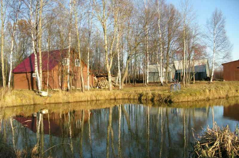 Вид на базу с воды | Белкина Грива, Костромская область