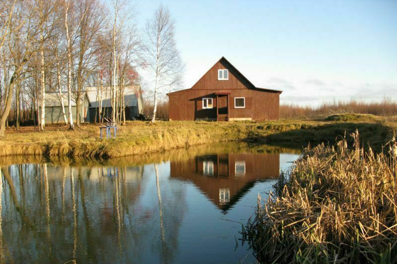 Живописный вид | Белкина Грива, Костромская область