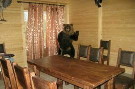 Номер Полулюкс, База отдыха Белкина Грива, Костромской район