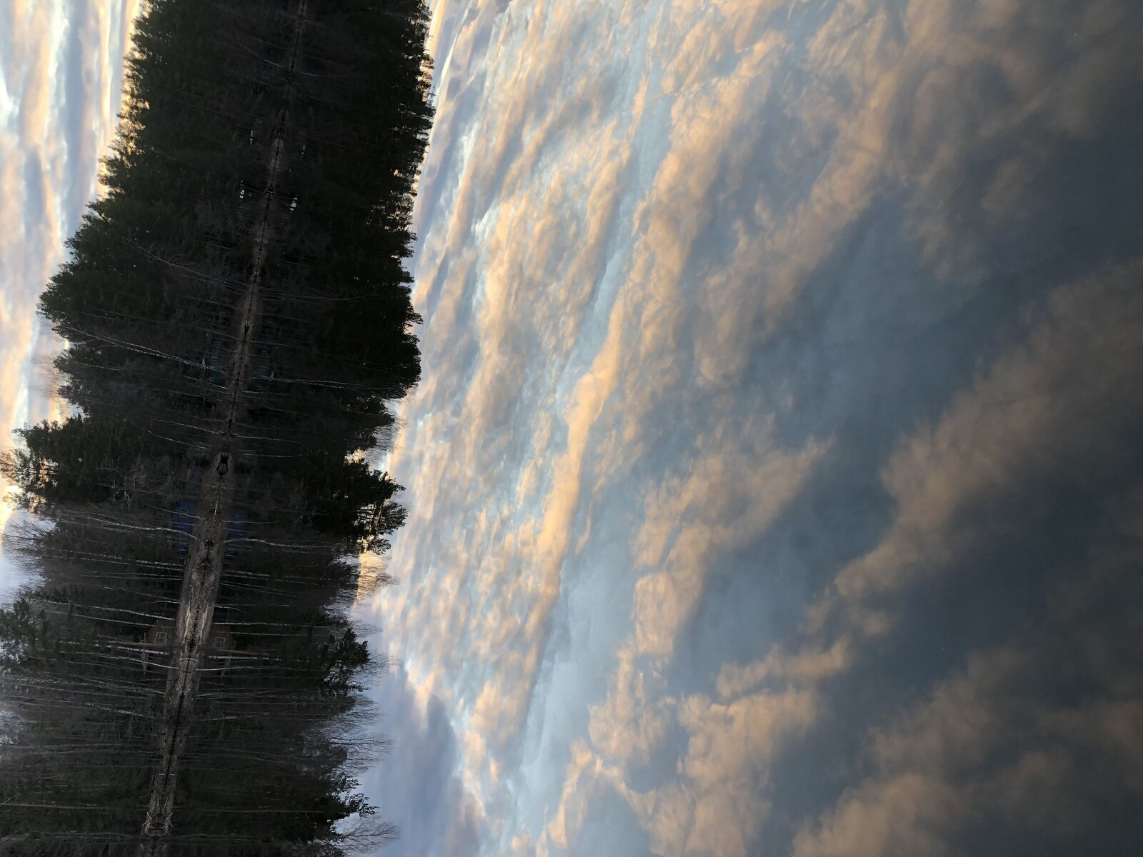 Фото 17 из отзыва о базе отдыха Охотник и рыболов