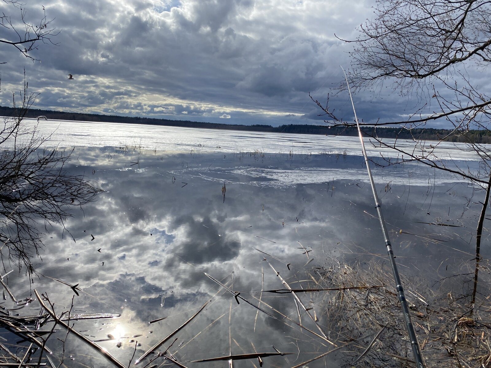 Фото 10 из отзыва о гостевом комплексе Селигер 21 век