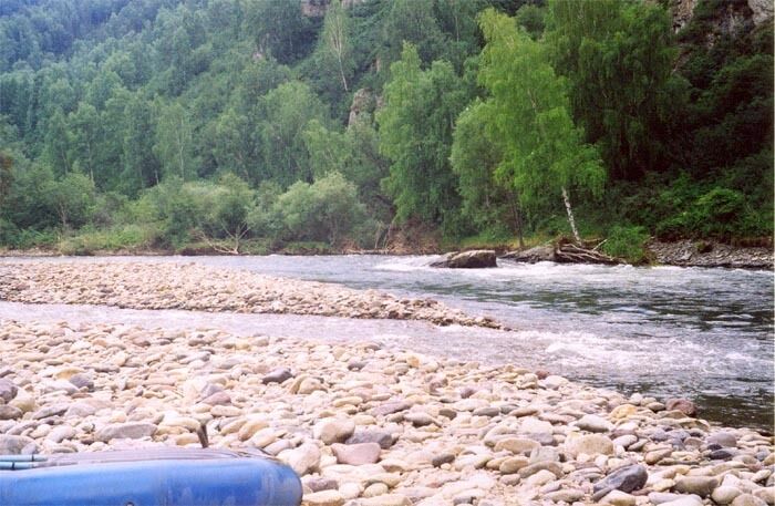 Горная река с кристально чистой водой | Чулан, Алтайский край